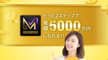 星美咲のマグナム5000は詐欺確定？年収5000万円は本当？